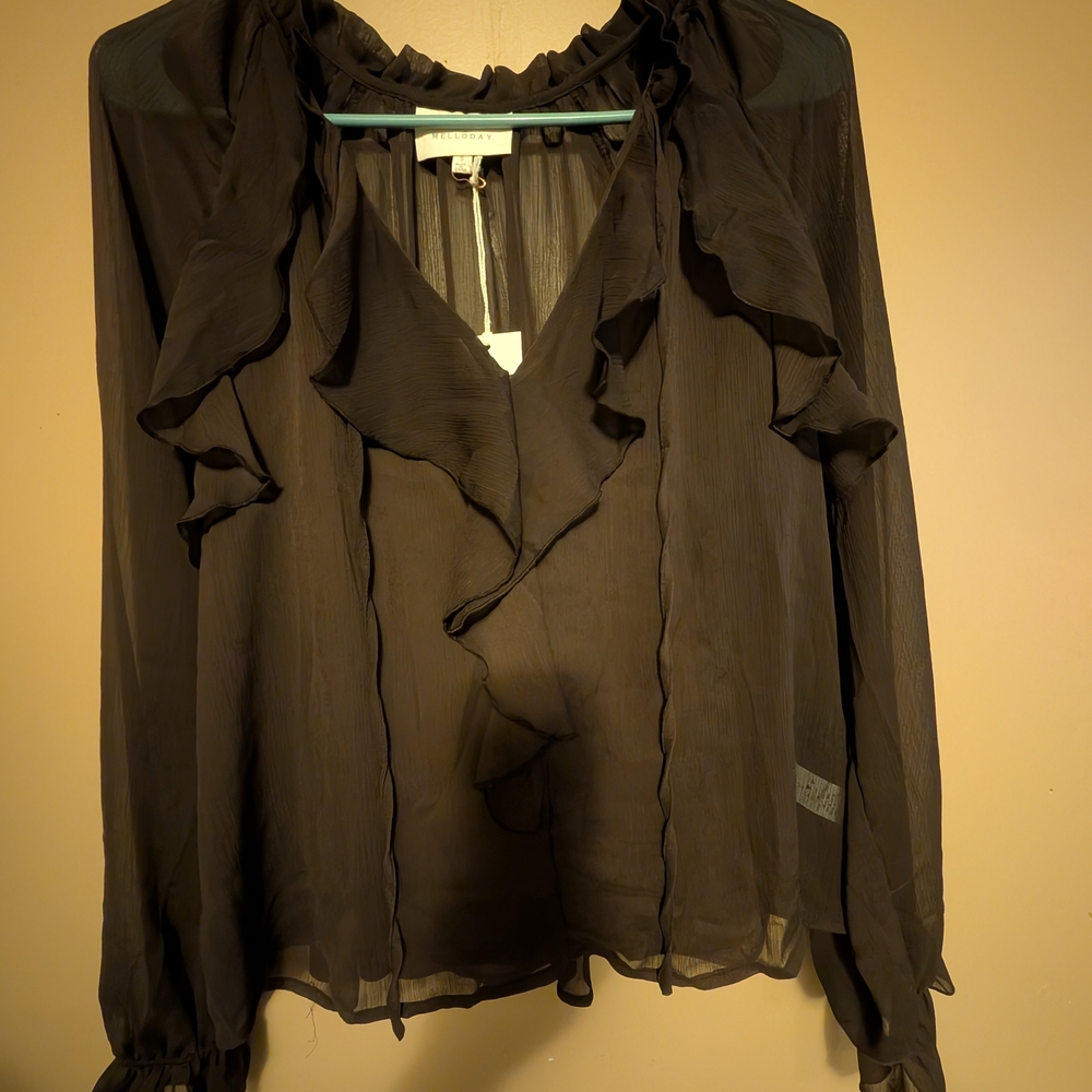 Sheer Brown Ruffle Blouse - Picture 5 of 9